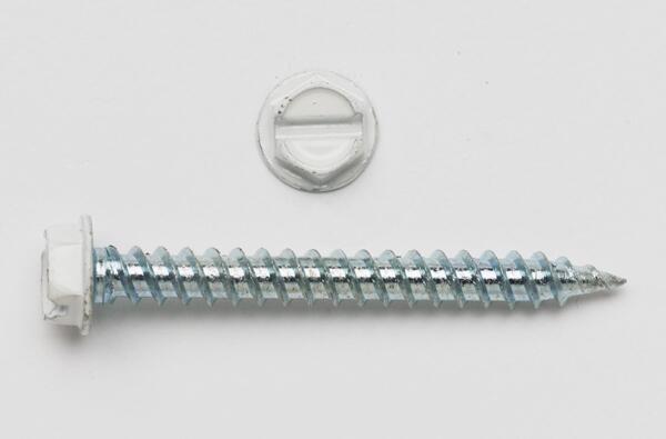PCH82W #8 (1/4 HEX HEAD) X 2 HEX WASHER HEAD SLOT WHITE HEAD REGISTER SCREW ZINC PLATED